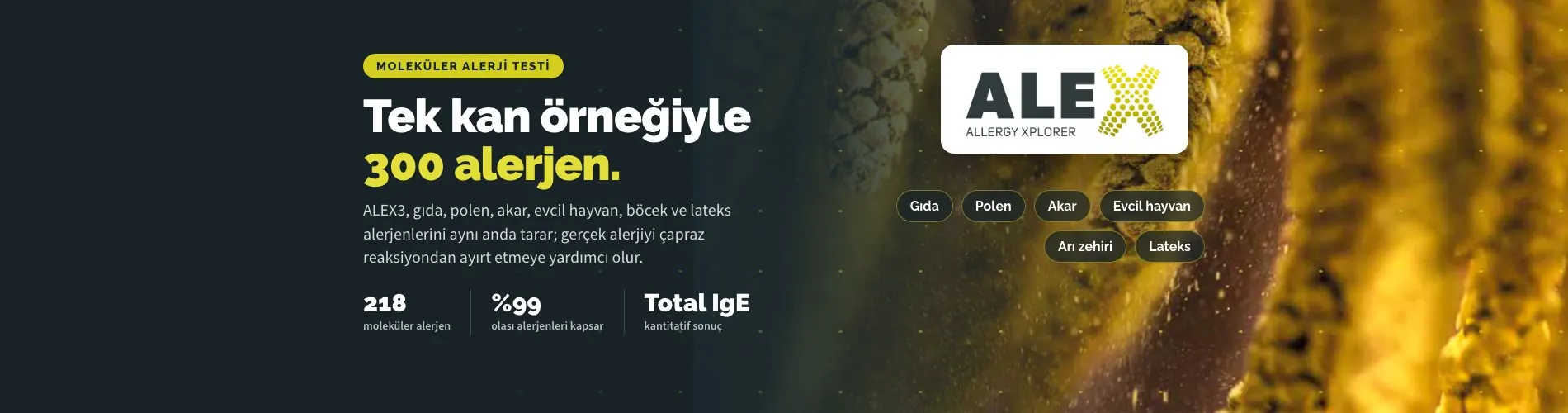 ALEX3 moleküler alerji testi: tek kan örneğiyle 300 alerjen