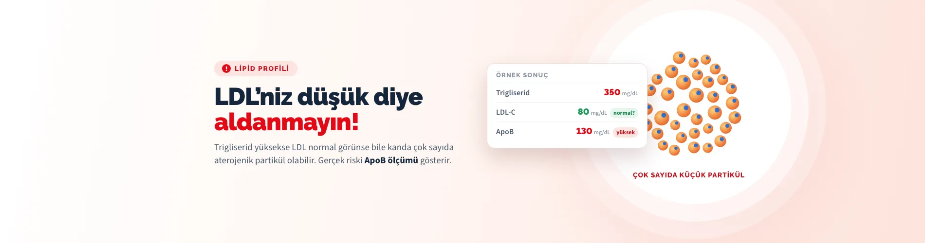 Trigliseridiniz yüksek, LDL kolesterolünüz düşük diye aldanmayın: gerçek riski ApoB ölçümü gösterir