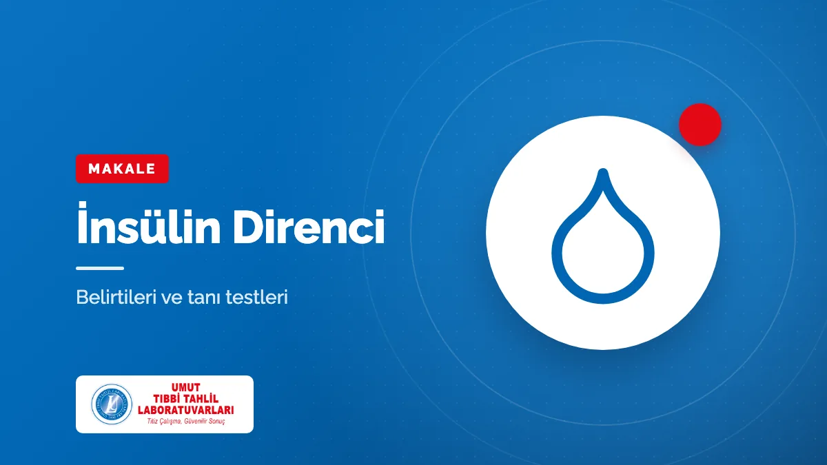 İnsülin Direnci Nedir? Belirtileri ve Hangi Testlerle Anlaşılır?