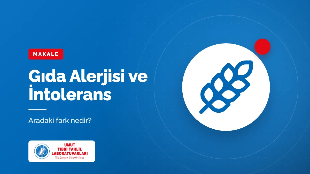 Gıda Alerjisi ile Gıda İntoleransı Arasındaki Fark