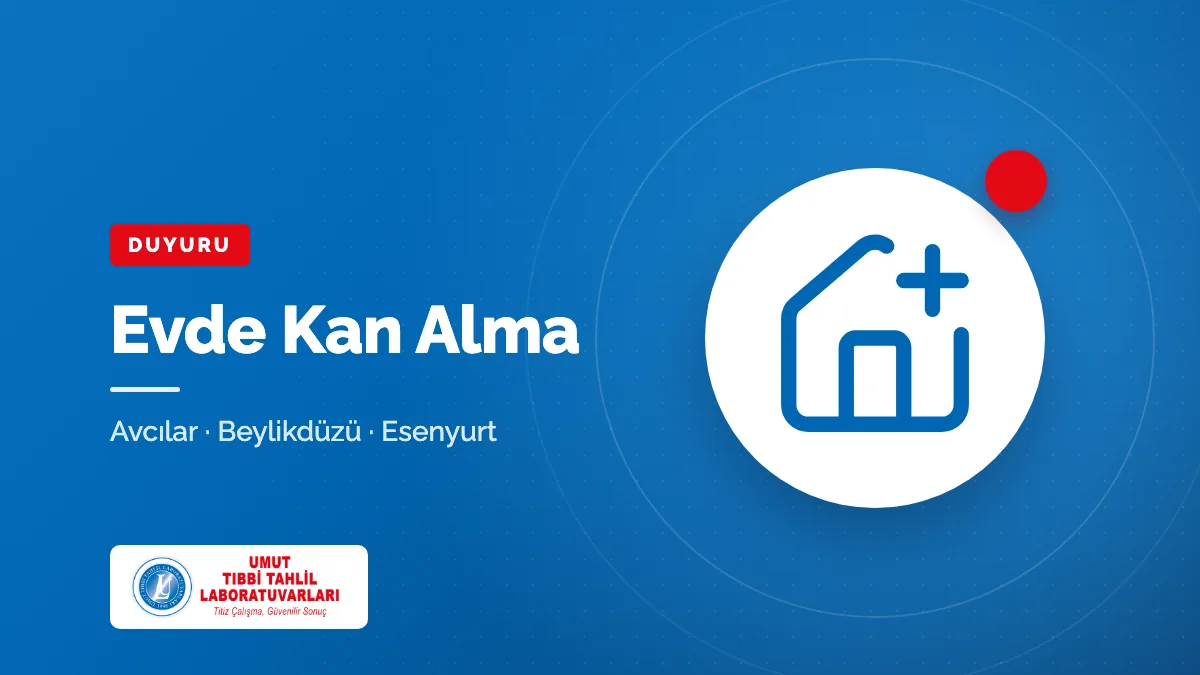 Evde Kan Alma: Avcılar, Beylikdüzü, Esenyurt ve Çevresinde