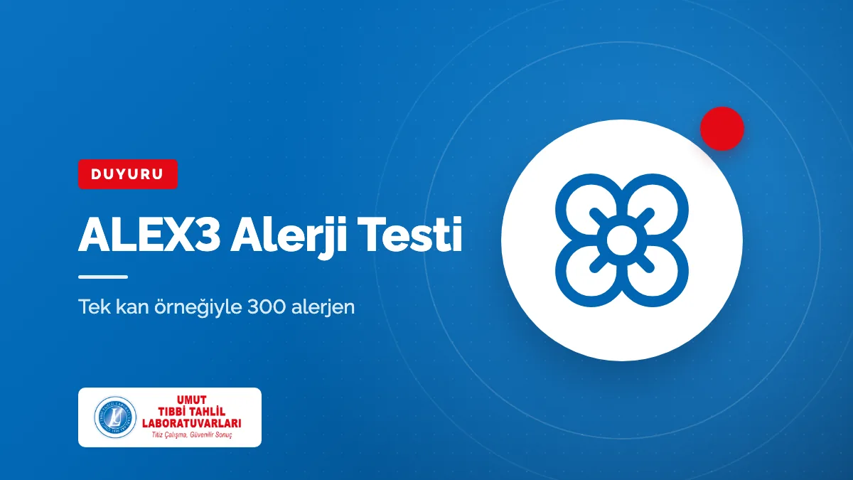 ALEX3 Moleküler Alerji Testi: Tek Kan Örneğiyle 300 Alerjen