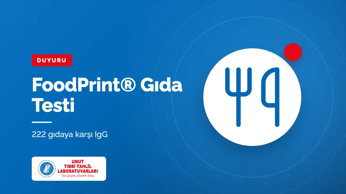 FoodPrint® Gıda Duyarlılık Testi: 222 Gıdaya Karşı IgG