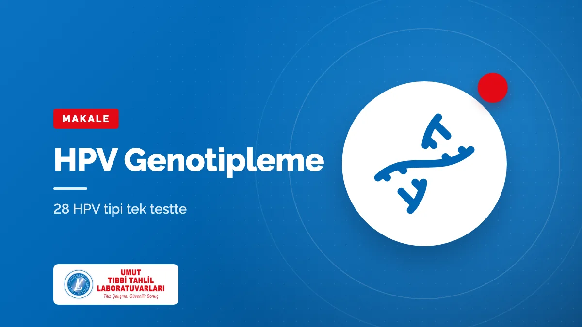 HPV Genotipleme Testi Nedir? 28 Tip HPV ve Sonuç Yorumu