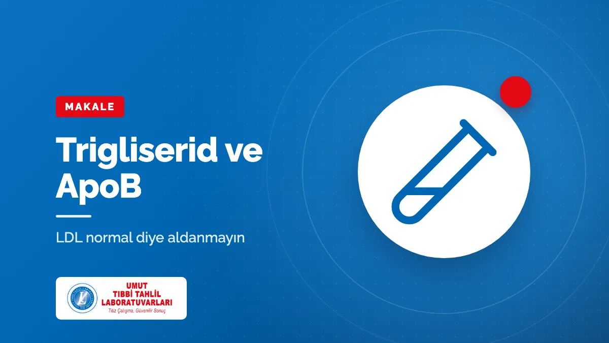 Trigliserid Yüksek, LDL Normal: ApoB Testi Neden Önemli?